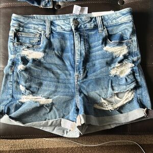 American Eagle Distressed Denim Women Shorts